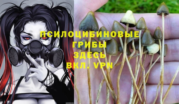 круглые Козельск