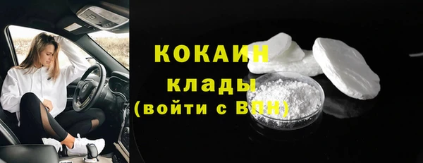 прущие крисы Кодинск