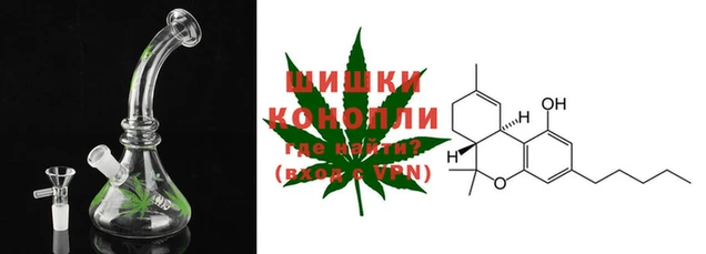 прущие крисы Кодинск