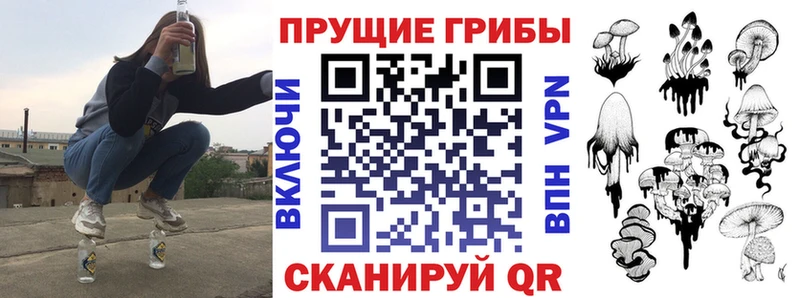 дарнет шоп Курган Галлюциногенные грибы Magic Shrooms
